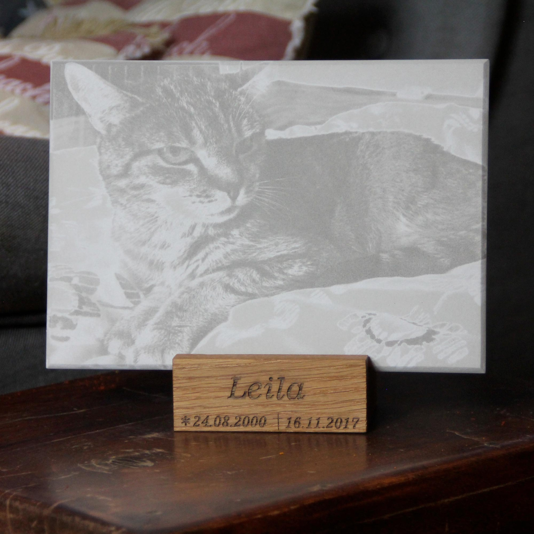 Beton-Porträt Katze DEKOFUX