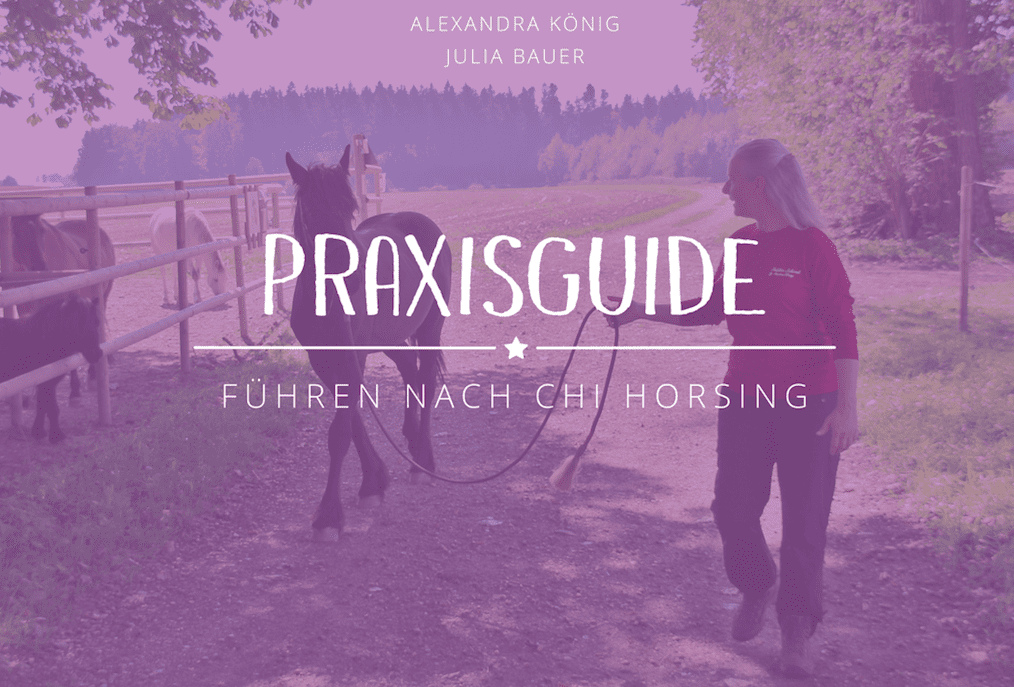 Chi Horsing - Praxisguide - DEKOFUX